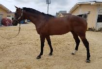 ������ũ (DOCTOR WEEK) ����