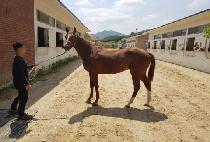 �뿬 (YONGYEON) ����