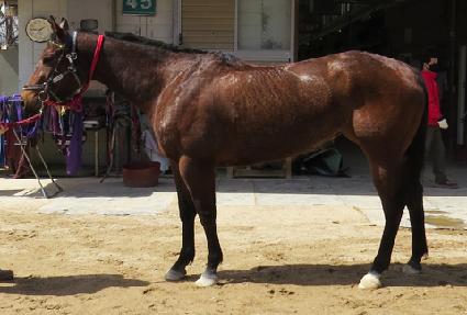 �ε����� ����