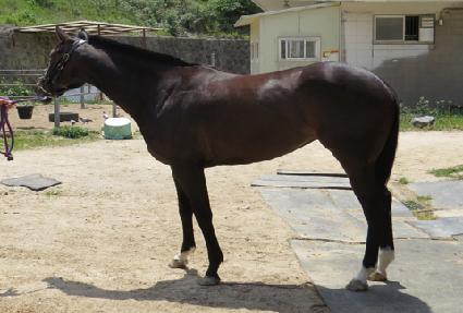 ȨĿ�� ����