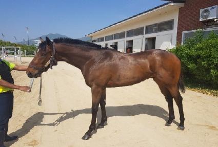 �����̼��� ����