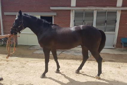 �������� ����