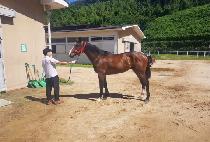 ���̳�����Ʈ (FINAL FRONT) ����