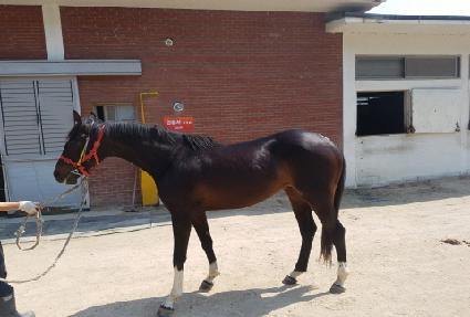 ���̽����� ����