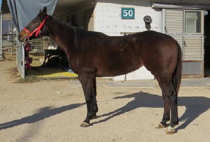 Ʈ���� ����