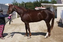 ���̸յ� (RAYMOND) ����