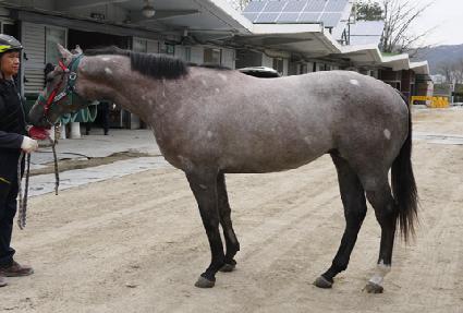 ���ʹ׾���� ����