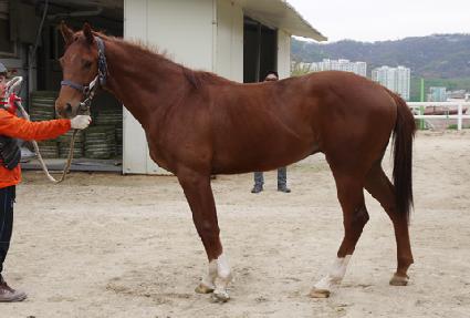 �ݾ�ŷ�� ����