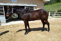 �ְ�Ŭ���� (CHOEGANG CLEAR) ����