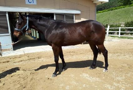 �ְ�Ŭ���� ����