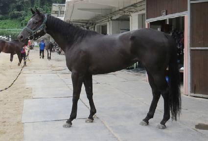 �����ǿ��� ����