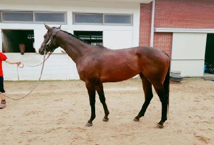 ���ǹٴ� ����