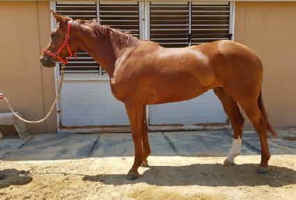 ���͹̹� ����