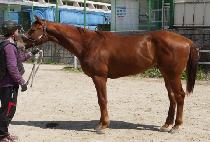 �������丮 (TO THE VICTORY) ����