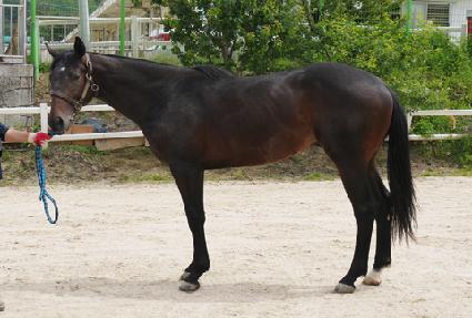 õ���� ����