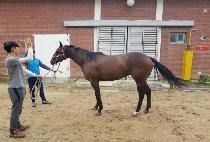 �ָ��ǿ��� (JUMALUI YEOSIN) ����