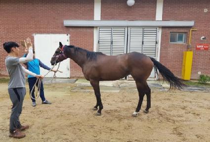 �ָ��ǿ��� ����