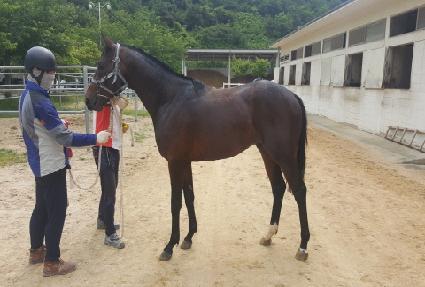 ���彽�� ����