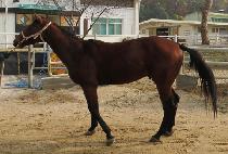 �����θ� (RICHEBOURG) ����