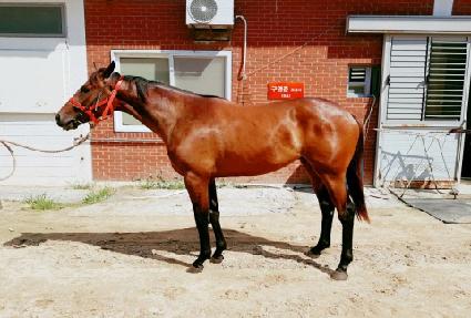 �������� ����