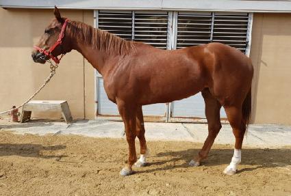 ������Ƶ� ����