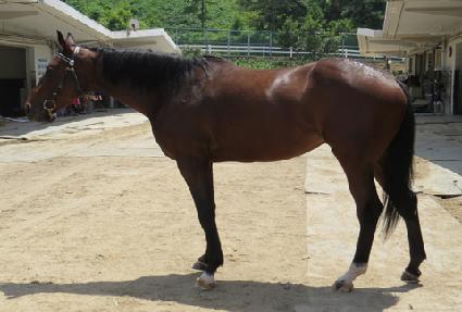 �׸��ٸ�ũ ����