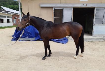 ����Ʈ��Ʈ ����