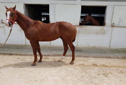 ��½����� ����