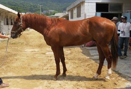 ��Ƽ�۾� ����