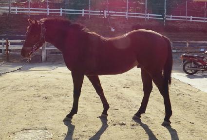 �۾�ĵ�� ����