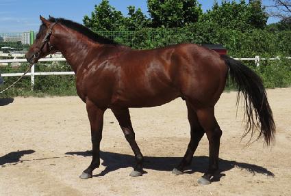 ��õ���ڱ� ����