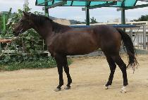 ��ġ (MUNG CHI) ����