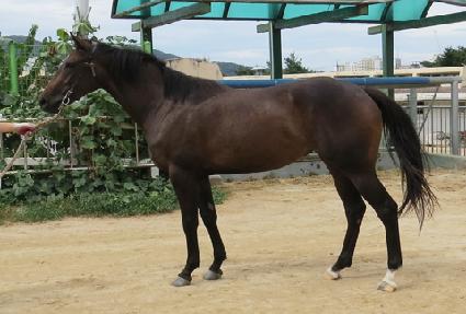 ��ġ ����