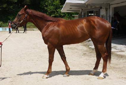 ��ź�� ����