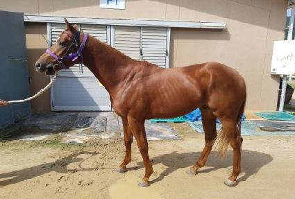 �Ӹ����ö��� ����