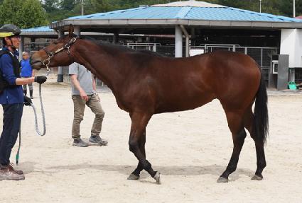 �ʵ���Ʈ��Ʈ ����