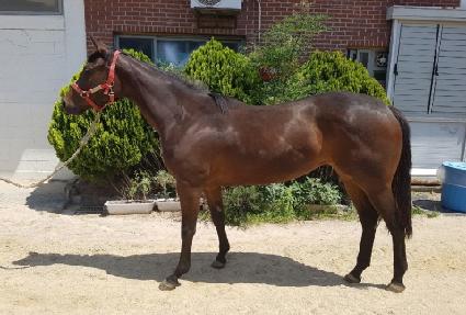 ���������� ����