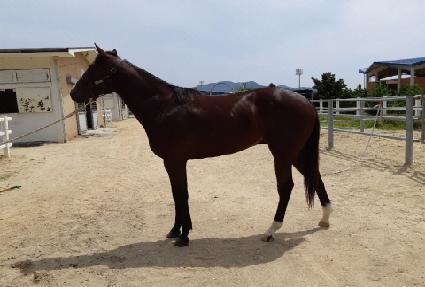 �׷���Ʈ�� ����