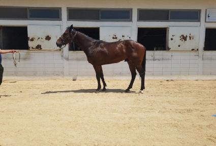 �׷������� ����