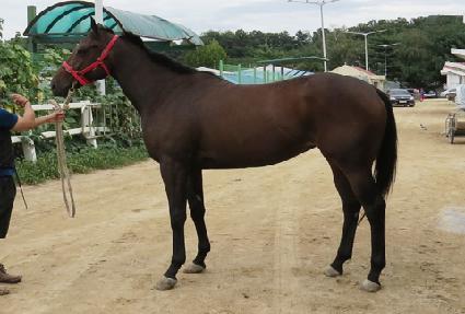 ���з����� ����