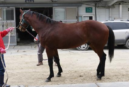 ��Ʈ���̵�� ����