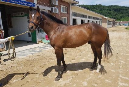 �����̶��̴� ����