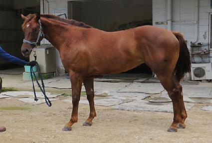 ��Ŀ����ž ����