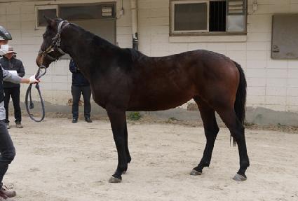 Ŭ����Ʈ���� ����