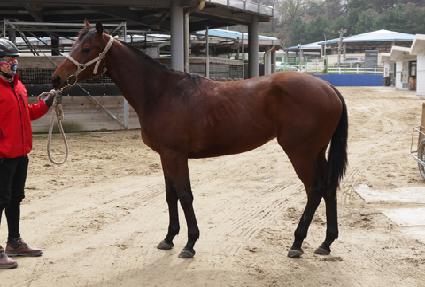 Ǯ����ī�� ����