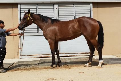 �����Ŀ� ����