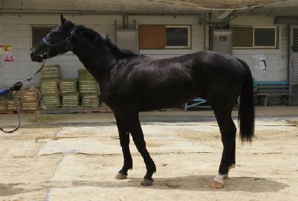 ����Ǯ��� ����