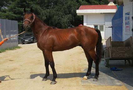 ����Ǯ�귯�� ����