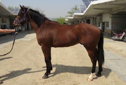 ��Ʈ�չ�ó ����