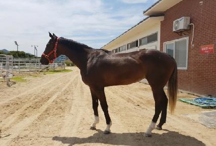 ����Ǯ���� ����